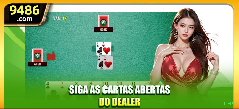 Suporte VIP br456 - atendimento prioritário